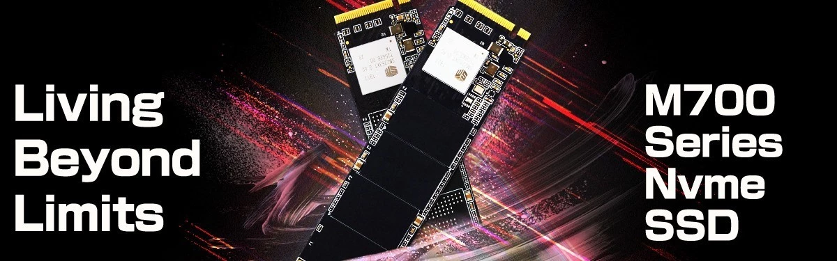 BIOSTAR выпустила новые SSD-накопители M700 M.2 PCIe NVMe BIOSTAR выпустила новые SSD-накопители M700 M.2 PCIe NVMe