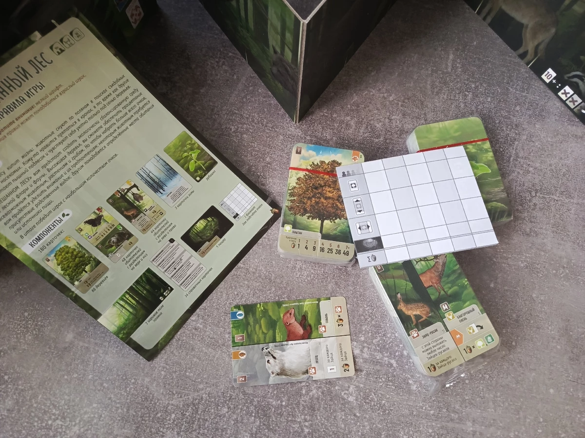 Настольная игра «Смешанный лес»: глубокая карточная стратегия для всей семьи