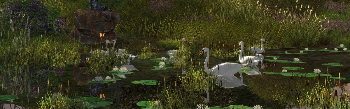 Команда The Lord of the Rings Online рассказала о новой локации Swanfleet и показала скриншоты Команда The Lord of the Rings Online рассказала о новой локации Swanfleet и показала скриншоты