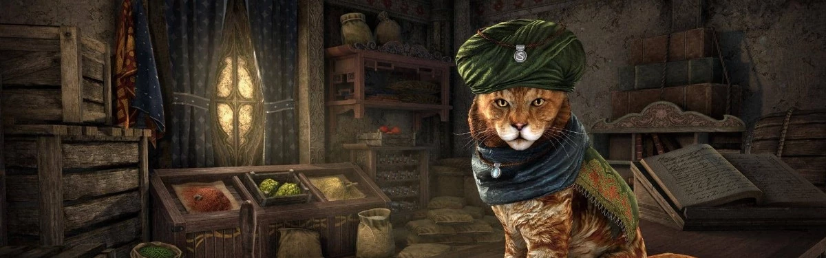Убивай драконов в The Elder Scrolls Online и спасай котиков в реале