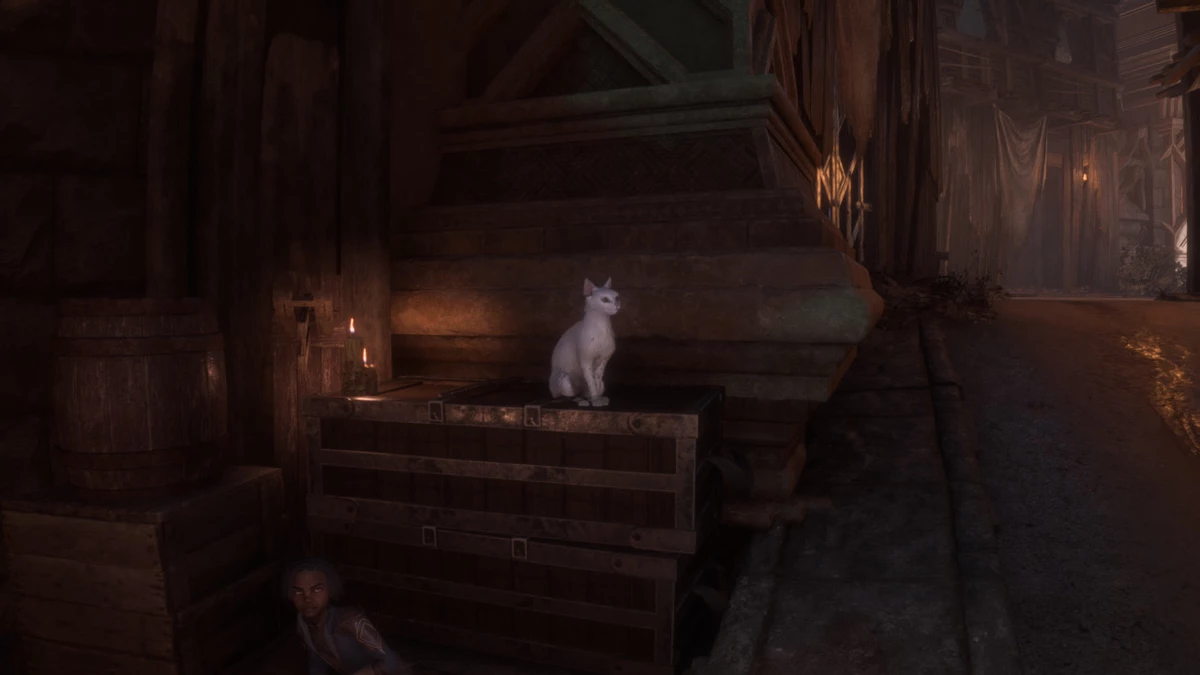 Регионы Dragon Age: The Veilguard на видео и фоторежим на скриншотах Регионы Dragon Age: The Veilguard на видео и фоторежим на скриншотах