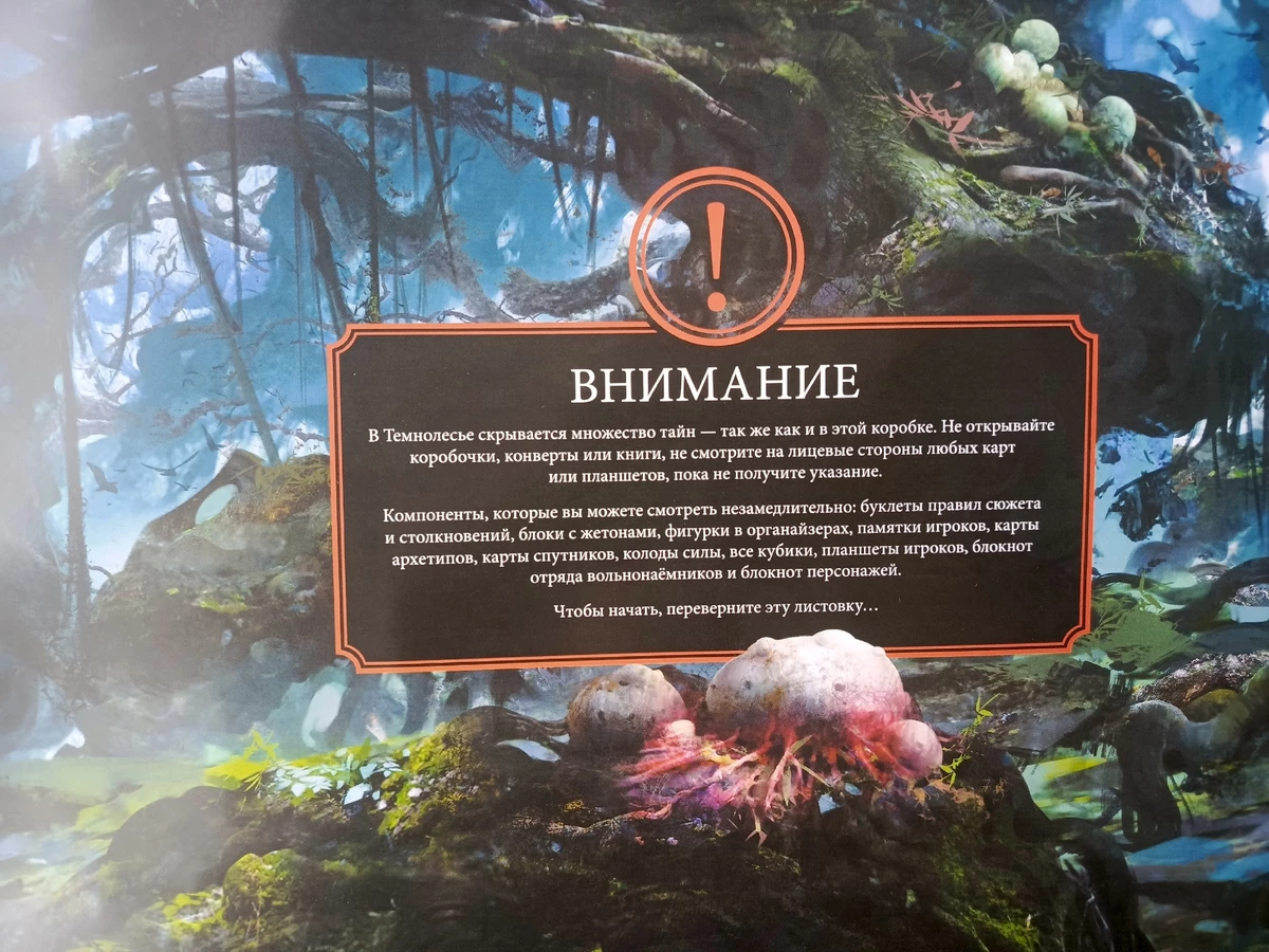 Обзор настольной игры “Oathsworn: Верные клятве. Тайны Темнолесья”: исключительно премиальный данжен-кроулер 