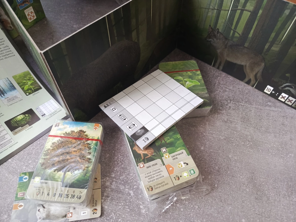 Настольная игра «Смешанный лес»: глубокая карточная стратегия для всей семьи