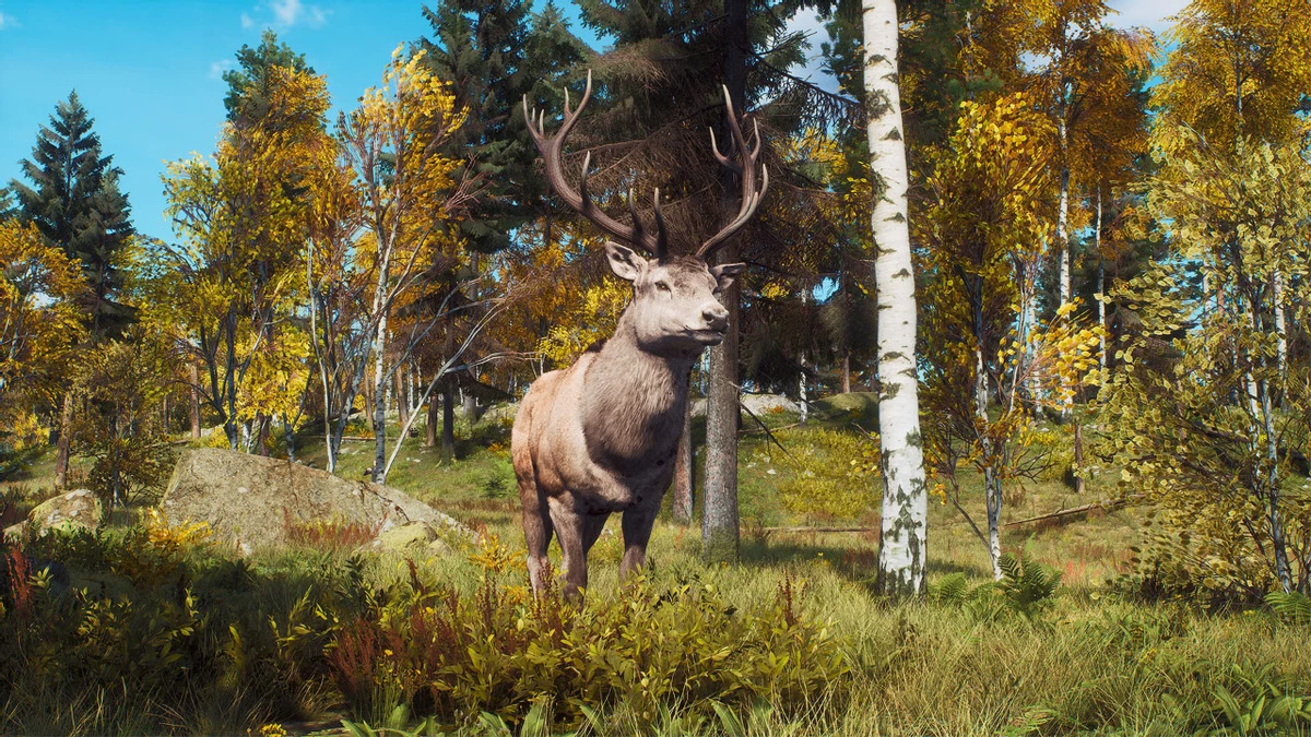 Красоты Скандинавии теперь доступны в DLC для симулятора охоты Way of the Hunter Красоты Скандинавии теперь доступны в DLC для симулятора охоты Way of the Hunter
