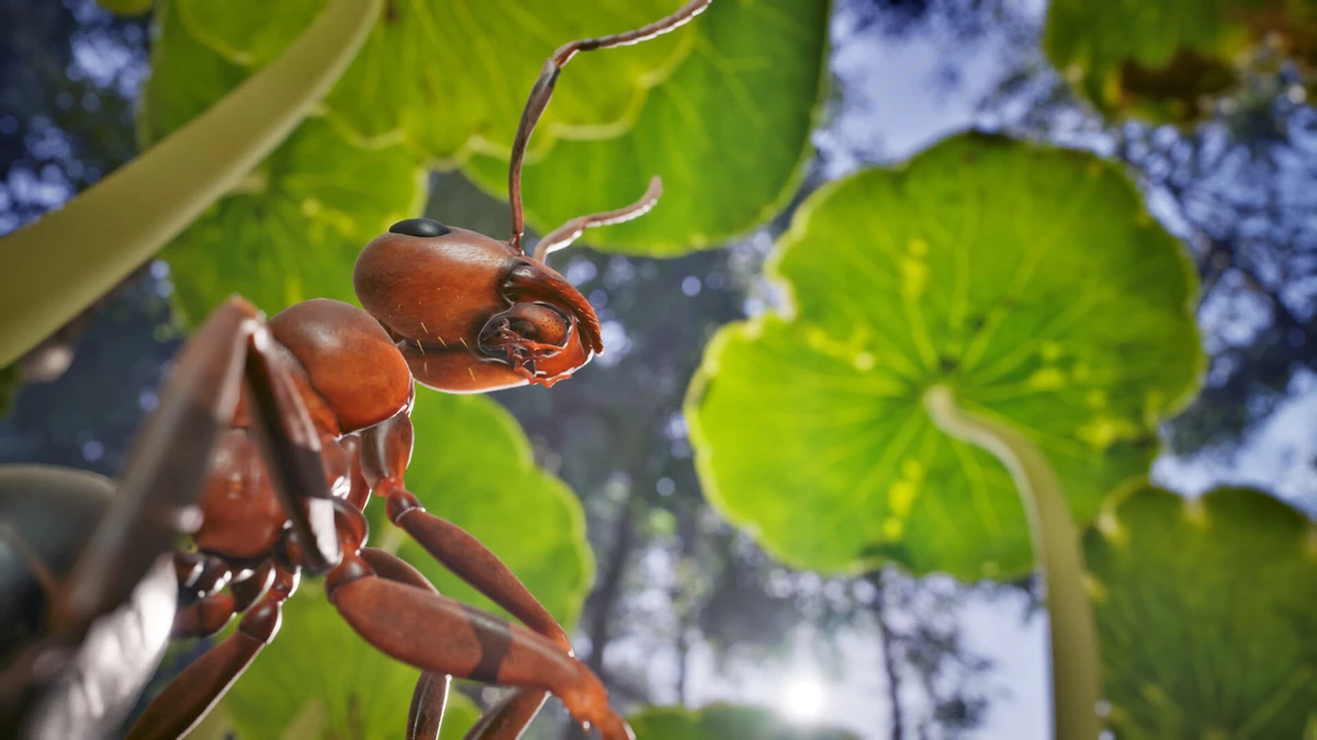 Фотореалистичная муравьиная стратегия Empire of the Ants получила дату релиза Фотореалистичная муравьиная стратегия Empire of the Ants получила дату релиза