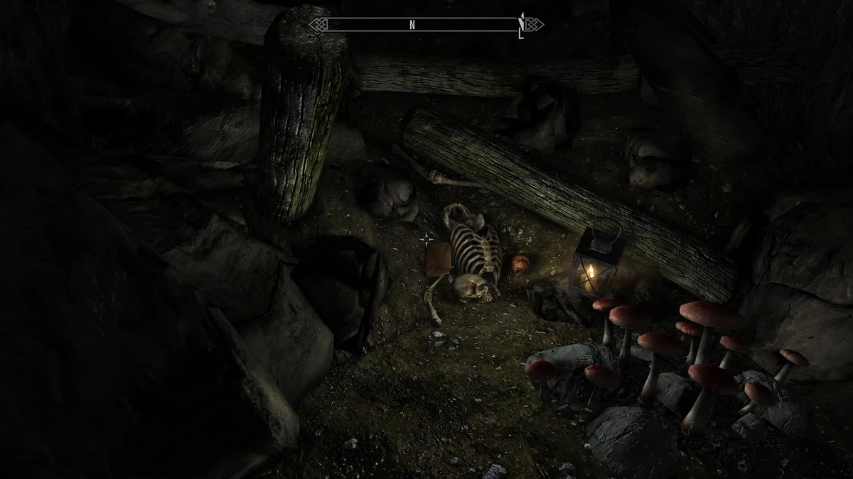 Skyrim получил мод SkyTex с 8K-текстурами для буквально всего Skyrim получил мод SkyTex с 8K-текстурами для буквально всего