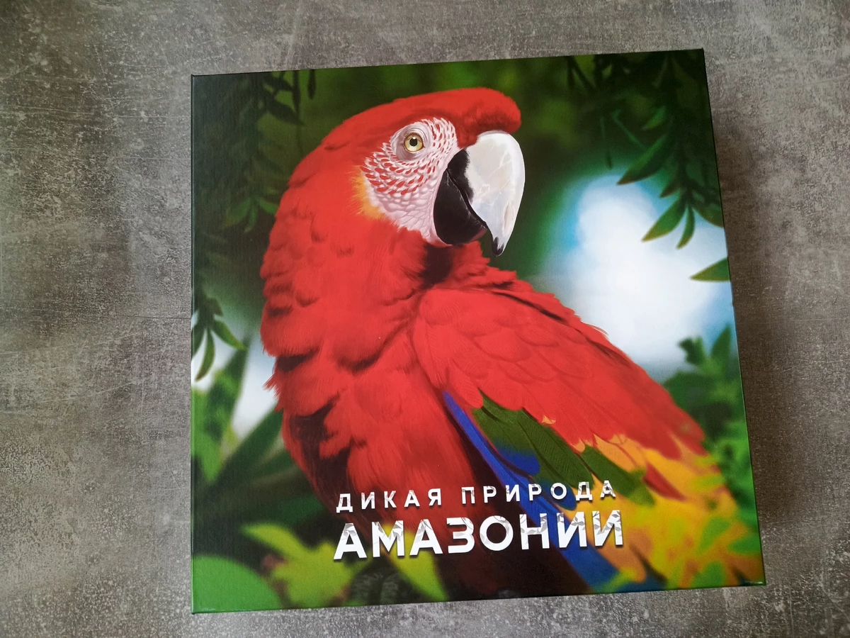 Настольная игра  «Дикая природа Амазонии»: путешествие в тропические джунгли посреди русской зимы