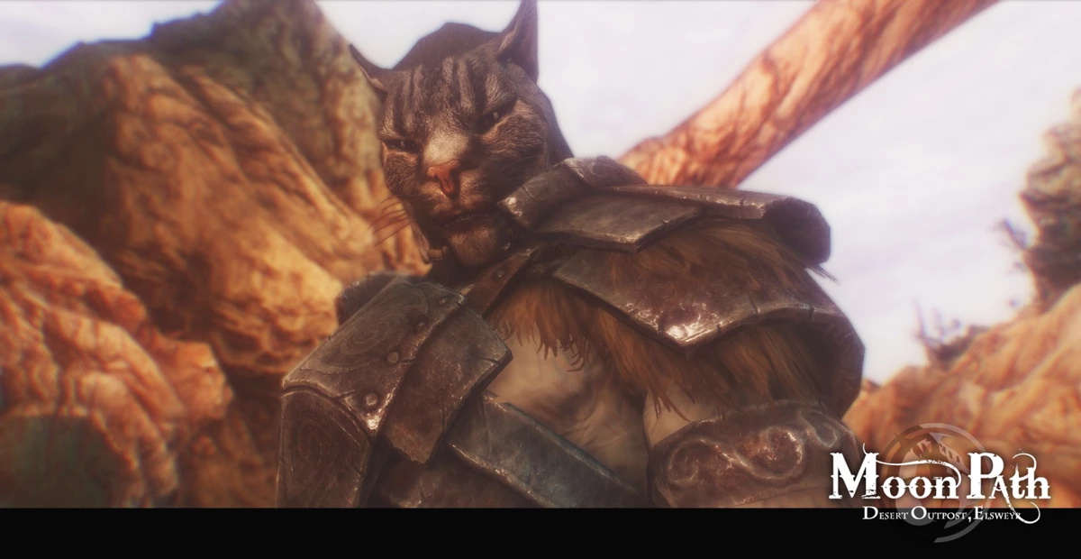 ТОП 20 лучших модов для TES V: Skyrim ТОП 20 лучших модов для TES V: Skyrim