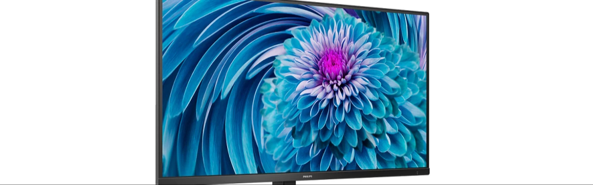 Новый монитор Philips получил 10-битную IPS-матрицу с 4K-разрешением Новый монитор Philips получил 10-битную IPS-матрицу с 4K-разрешением