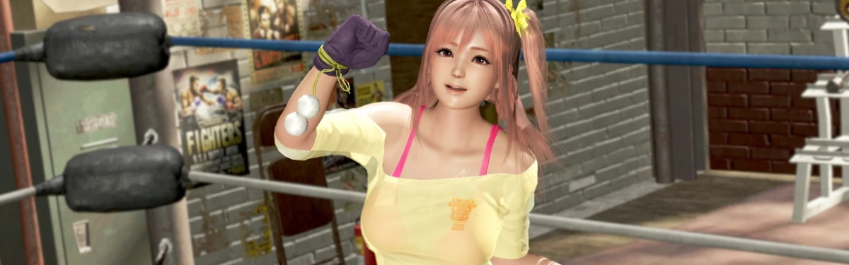 Dead or Alive 7 разрабатывалась маленькой командой, но, вероятно, была отменена Dead or Alive 7 разрабатывалась маленькой командой, но, вероятно, была отменена