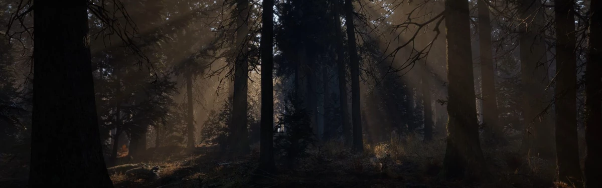Впечатляющий лес на Unreal Engine 5 уже можно скачать Впечатляющий лес на Unreal Engine 5 уже можно скачать
