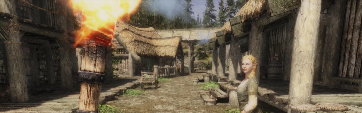 Skyrim - Игрок прошел игру, используя только факел Skyrim - Игрок прошел игру, используя только факел