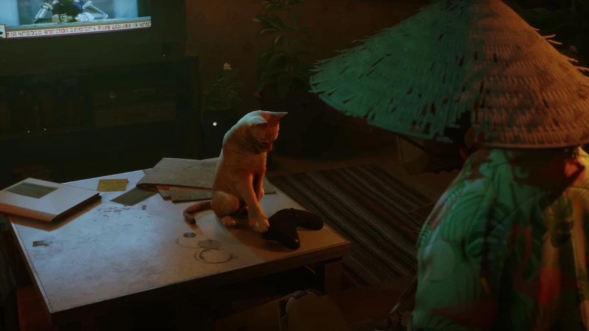 Котик из Stray доберется до консолей Xbox 10 августа Котик из Stray доберется до консолей Xbox 10 августа
