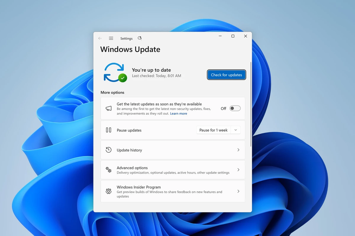 Обновление Windows 11 ломает видео с DRM и HDCP