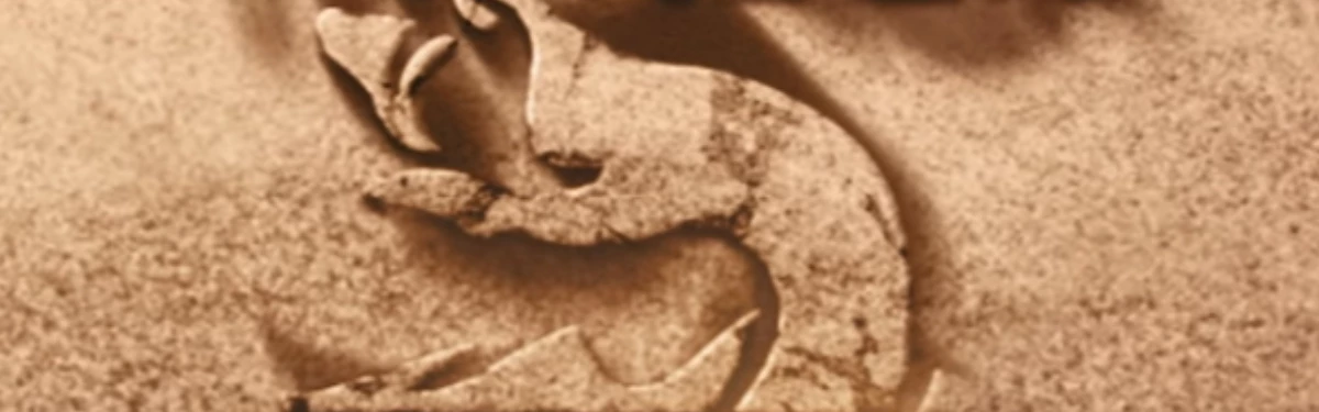 “Битва за Арахис” грядет в War Thunder “Битва за Арахис” грядет в War Thunder