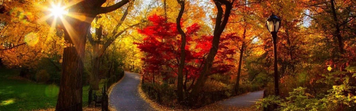 Творческий уголок - Дайджест #4 Творческий уголок - Дайджест #4