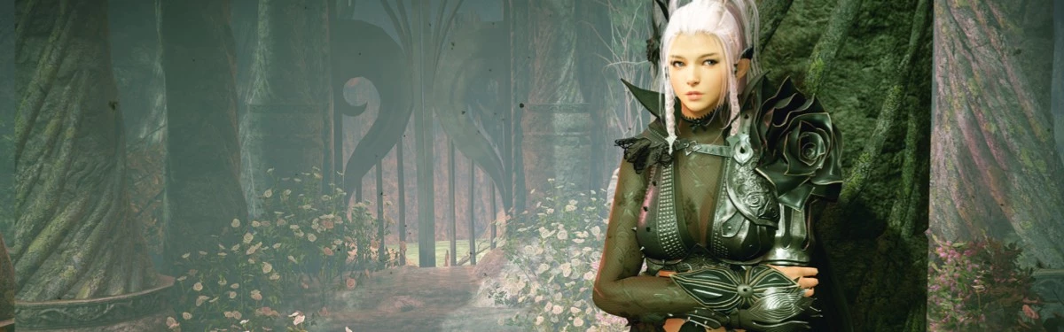 Black Desert - Проведен стрим для пользователей PlayStation 4 Black Desert - Проведен стрим для пользователей PlayStation 4