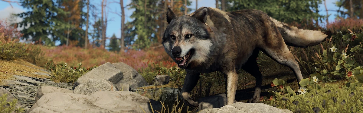 Rust - Была добавлена система контактов Rust - Была добавлена система контактов