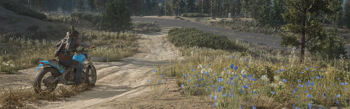 Days Gone - Инфографика по случаю первой годовщины игры Days Gone - Инфографика по случаю первой годовщины игры