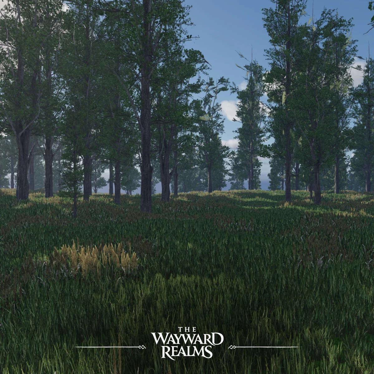 Не сладили с UE5 — The Wayward Realms переведена на движок студии для роста производительности