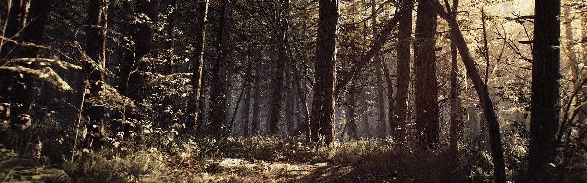 Стрим: Blair Witch - Ищем ведьм в дремучем лесу Стрим: Blair Witch - Ищем ведьм в дремучем лесу