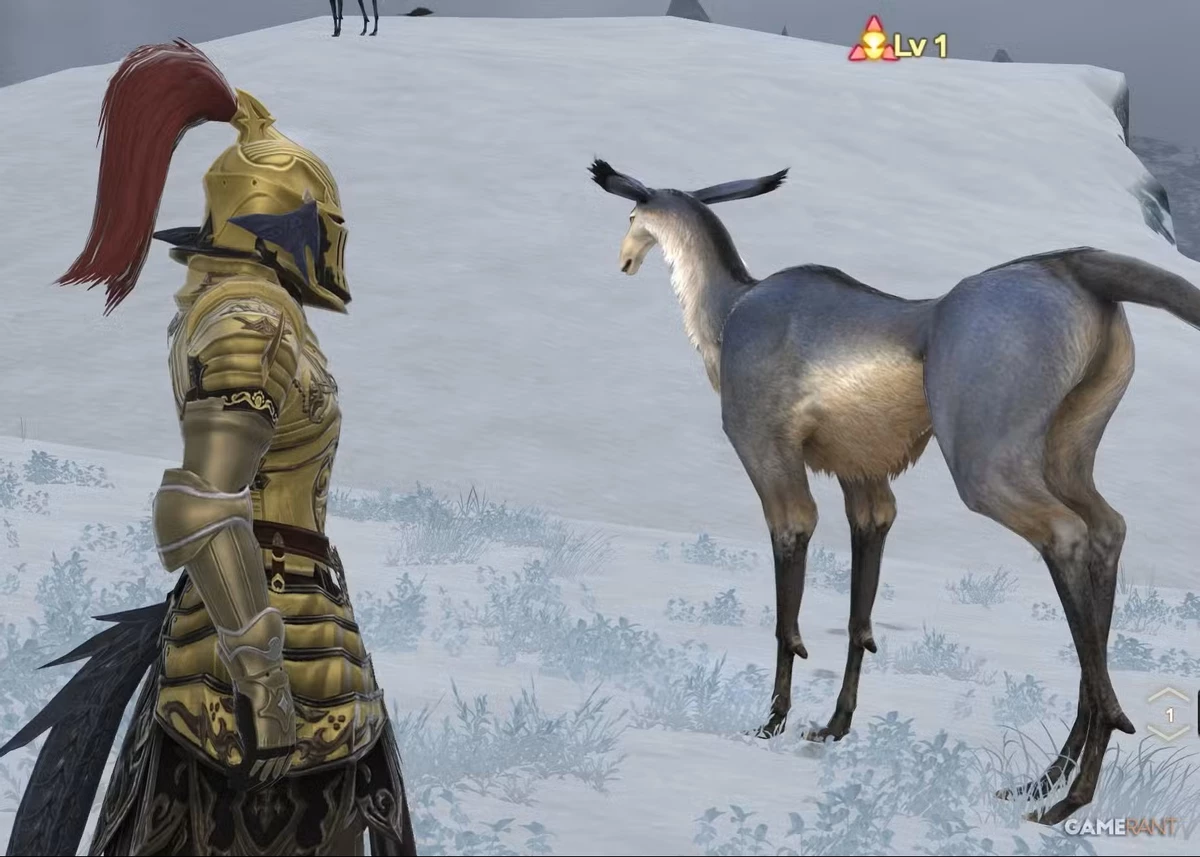 MMORPG Final Fantasy 14 снова DDoS'ят — у игроков хоть один спокойный месяц будет? MMORPG Final Fantasy 14 снова DDoS'ят — у игроков хоть один спокойный месяц будет?