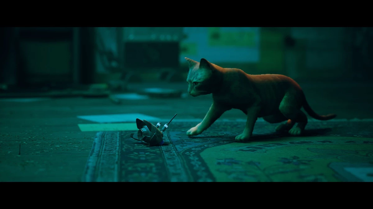 Обзор Stray — приключения котика в постапокалипсисе Обзор Stray — приключения котика в постапокалипсисе