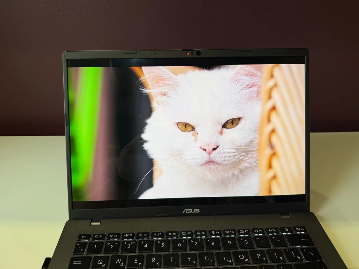 Обзор ASUS Vivobook S14 OLED: тонкий, мощный и недорогой. Такое вообще бывает? Обзор ASUS Vivobook S14 OLED: тонкий, мощный и недорогой. Такое вообще бывает?