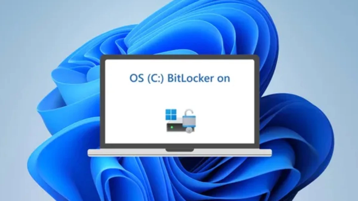 Windows 11 24H2 включит шифрование BitLocker для всех Windows 11 24H2 включит шифрование BitLocker для всех