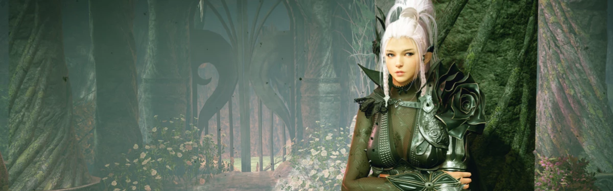 Black Desert Console — Что принес кроссплей Black Desert Console — Что принес кроссплей