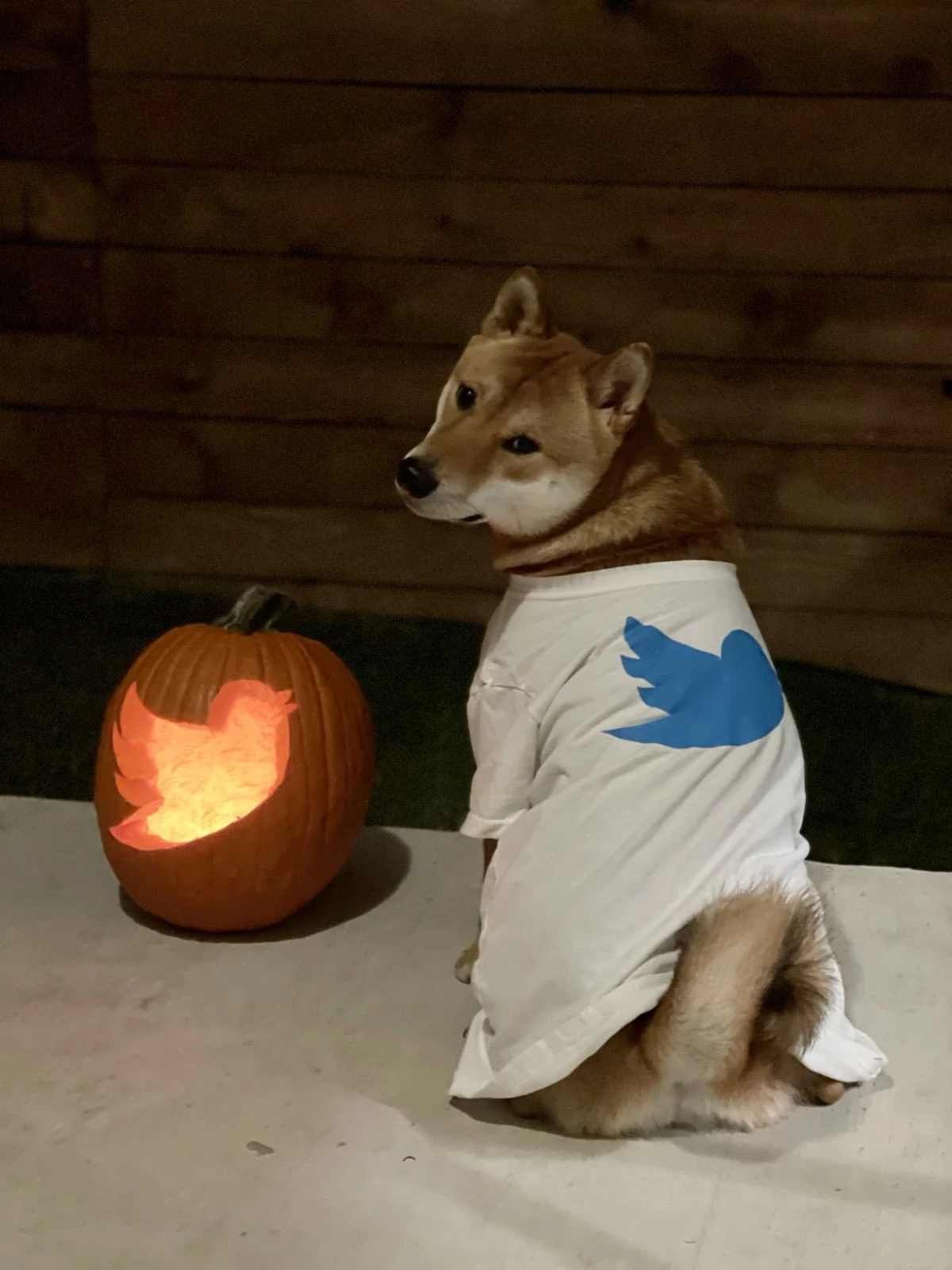 А еще Илон-чан отметил Хэллоуин, в костюме и с мамой (фото — Elon Musk, Twitter) А еще Илон-чан отметил Хэллоуин, в костюме и с мамой (фото — Elon Musk, Twitter)
