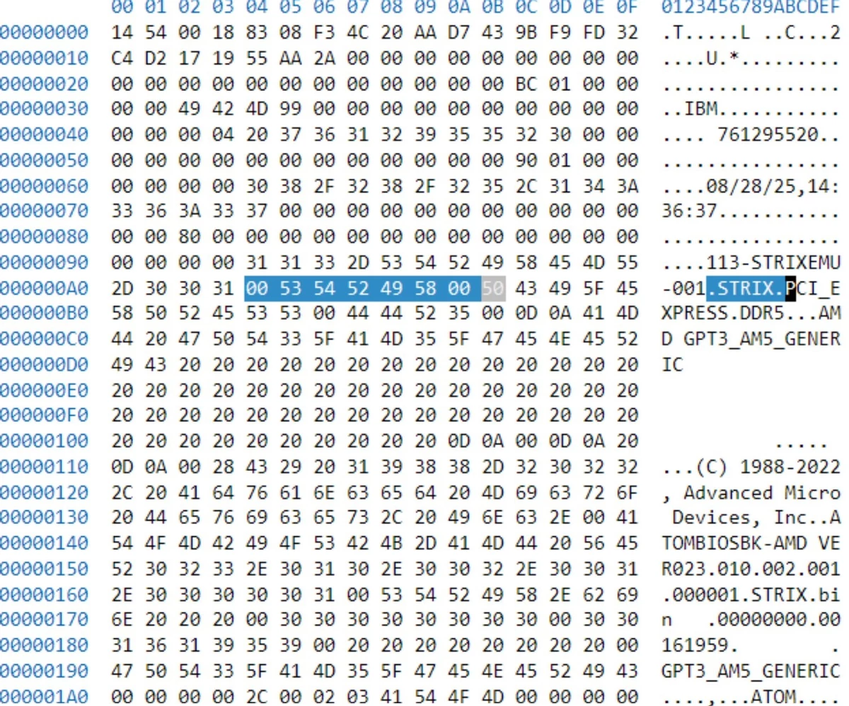 AMD Strix Point могут появиться на настольных ПК с сокетом AM5