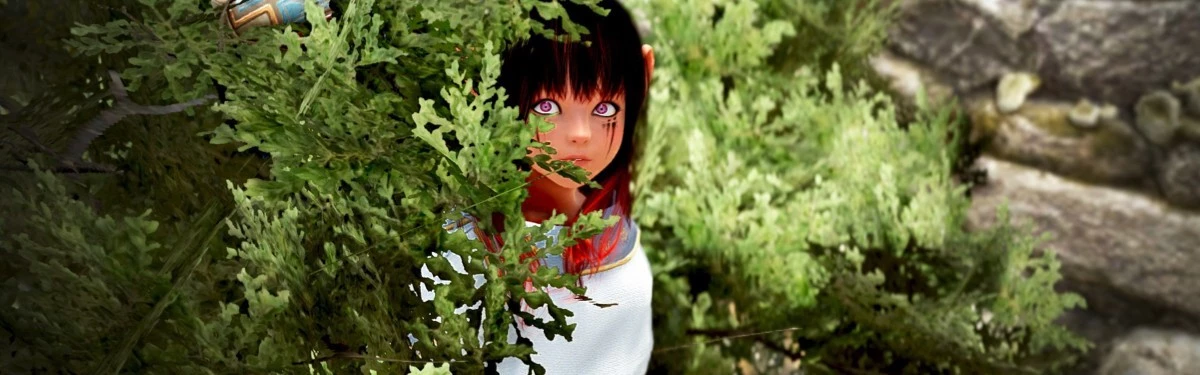 Black Desert - Ивент «Международная гонка осликов» Black Desert - Ивент «Международная гонка осликов»