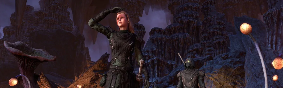 The Elder Scrolls Online - Предметы из кронных ящиков можно будет получать бесплатно
