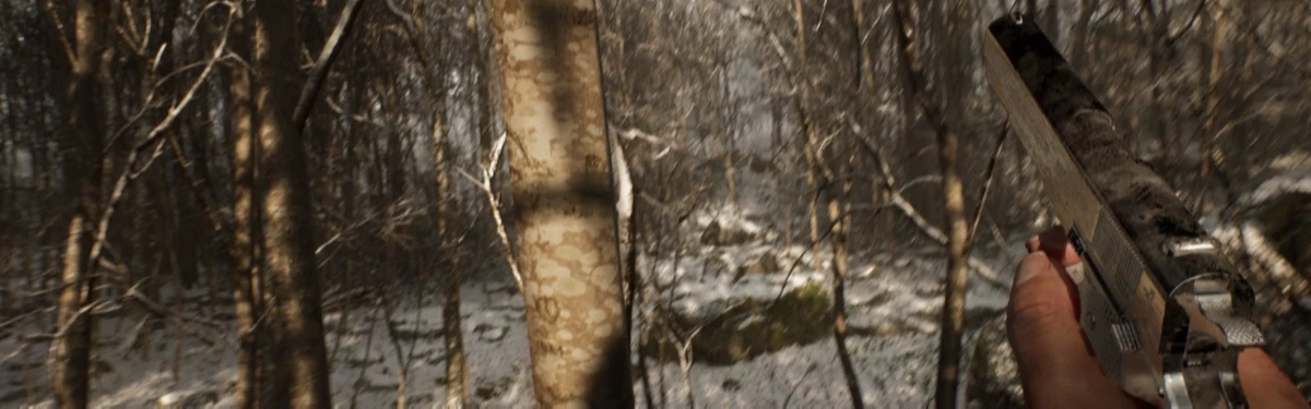 Abandoned — Хасан Кахраман пообещал шутер, реализм без интерфейса и сектантов, но не Silent Hill Abandoned — Хасан Кахраман пообещал шутер, реализм без интерфейса и сектантов, но не Silent Hill