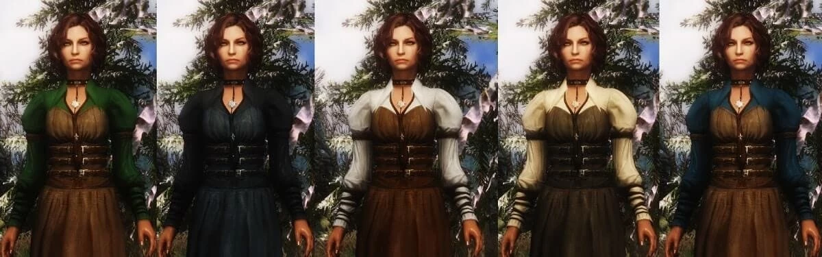 Skyrim – с новым модом можно будет переодеть кого угодно Skyrim – с новым модом можно будет переодеть кого угодно