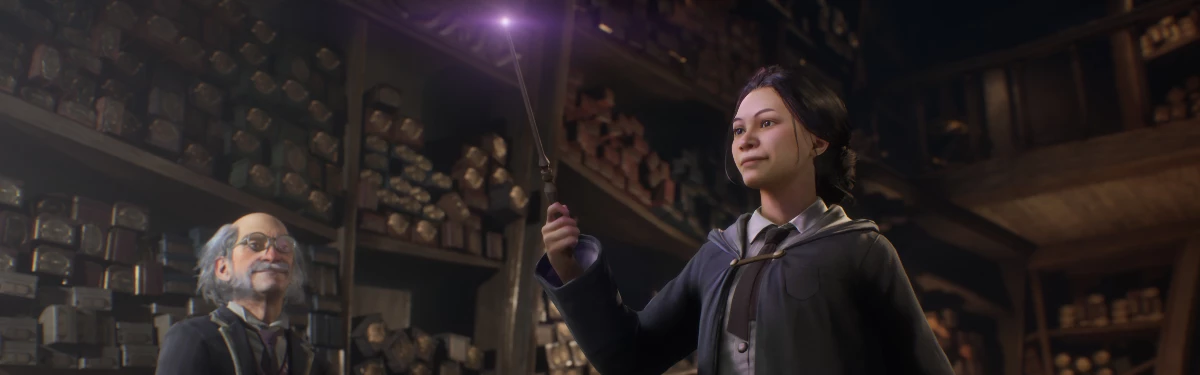 [Шрайер] В редакторе Hogwarts Legacy можно будет создать трансгендера*
