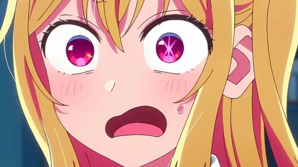 Пиратский сайт для взрослых доказывает в суде, что он не пиратский Пиратский сайт для взрослых доказывает в суде, что он не пиратский