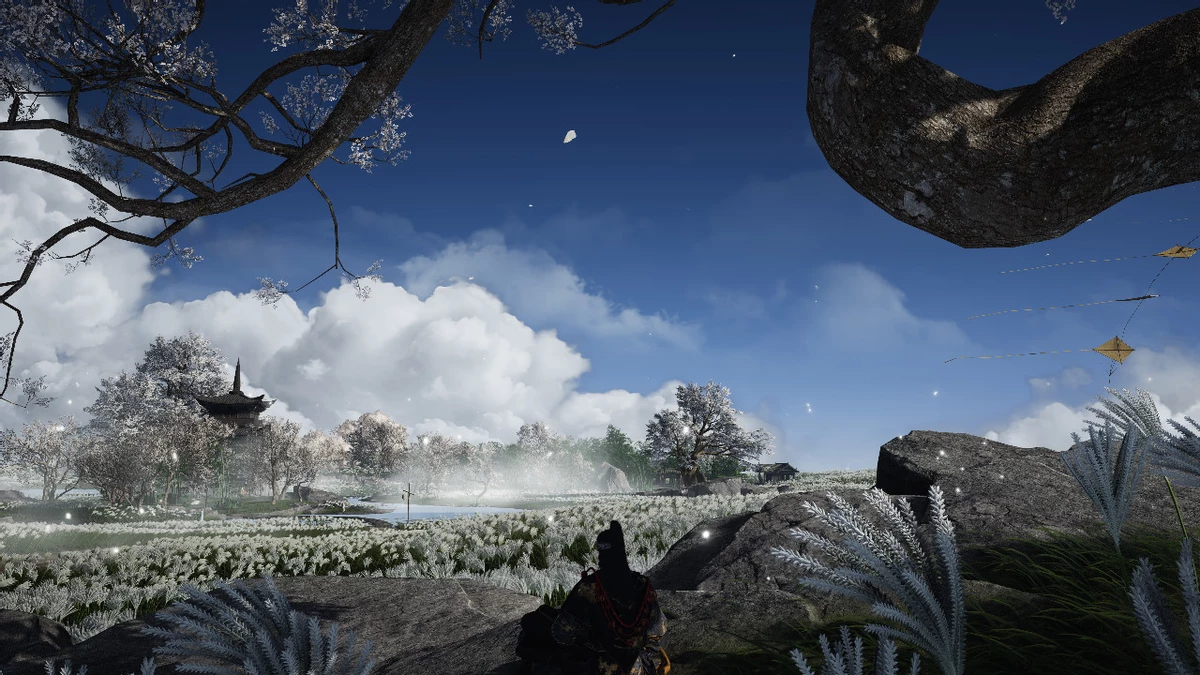 В Where Winds Meet ИИ-NPC не против заняться с вами виртуальным сексом