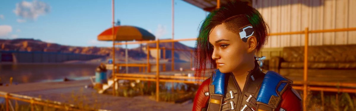 Охотимся за Хейманом вместе с Панам в Cyberpunk 2077