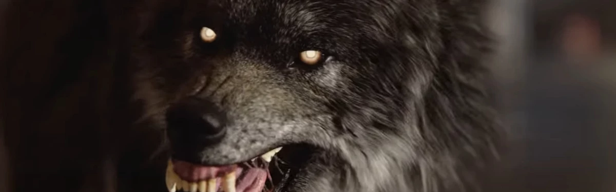 Авторы первой The Witcher анонсировали игру по «Миру тьмы» - Werewolf: The Apocalypse – Heart of the Forest Авторы первой The Witcher анонсировали игру по «Миру тьмы» - Werewolf: The Apocalypse – Heart of the Forest
