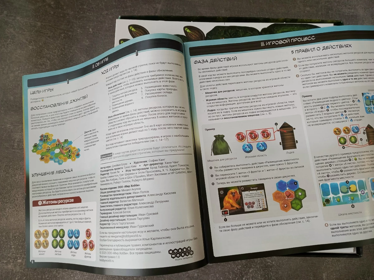 Настольная игра  «Дикая природа Амазонии»: путешествие в тропические джунгли посреди русской зимы