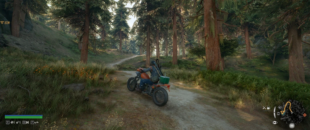 Обзор Days Gone на ПК - неплохой порт неплохой игры Обзор Days Gone на ПК - неплохой порт неплохой игры