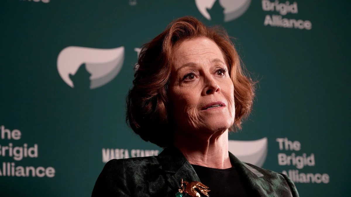 Сигурни Уивер умудрилась вляпаться в сериал «Расхитительница гробниц» от Amazon Сигурни Уивер умудрилась вляпаться в сериал «Расхитительница гробниц» от Amazon