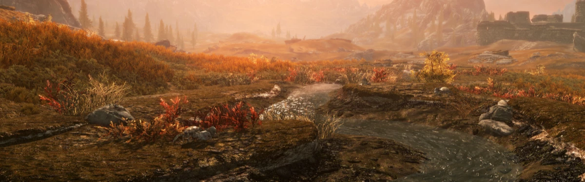 Не опять, а снова ты купи-купи Skyrim — вышло юбилейное издание The Elder Scrolls V Не опять, а снова ты купи-купи Skyrim — вышло юбилейное издание The Elder Scrolls V