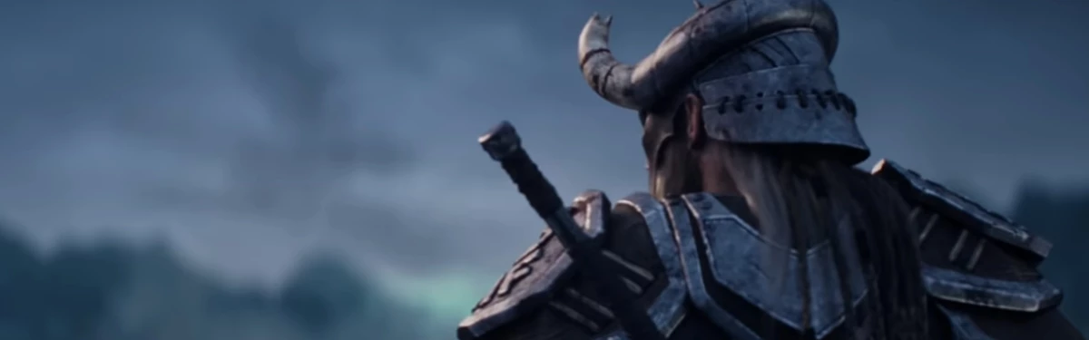 The Elder Scrolls Online - Разработчики готовятся к анонсу Скайрима The Elder Scrolls Online - Разработчики готовятся к анонсу Скайрима