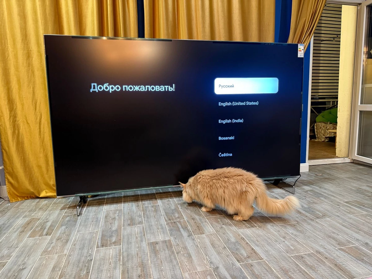 Обзор гигантского 100-дюймового телевизора Dreame Mega QLED Q100