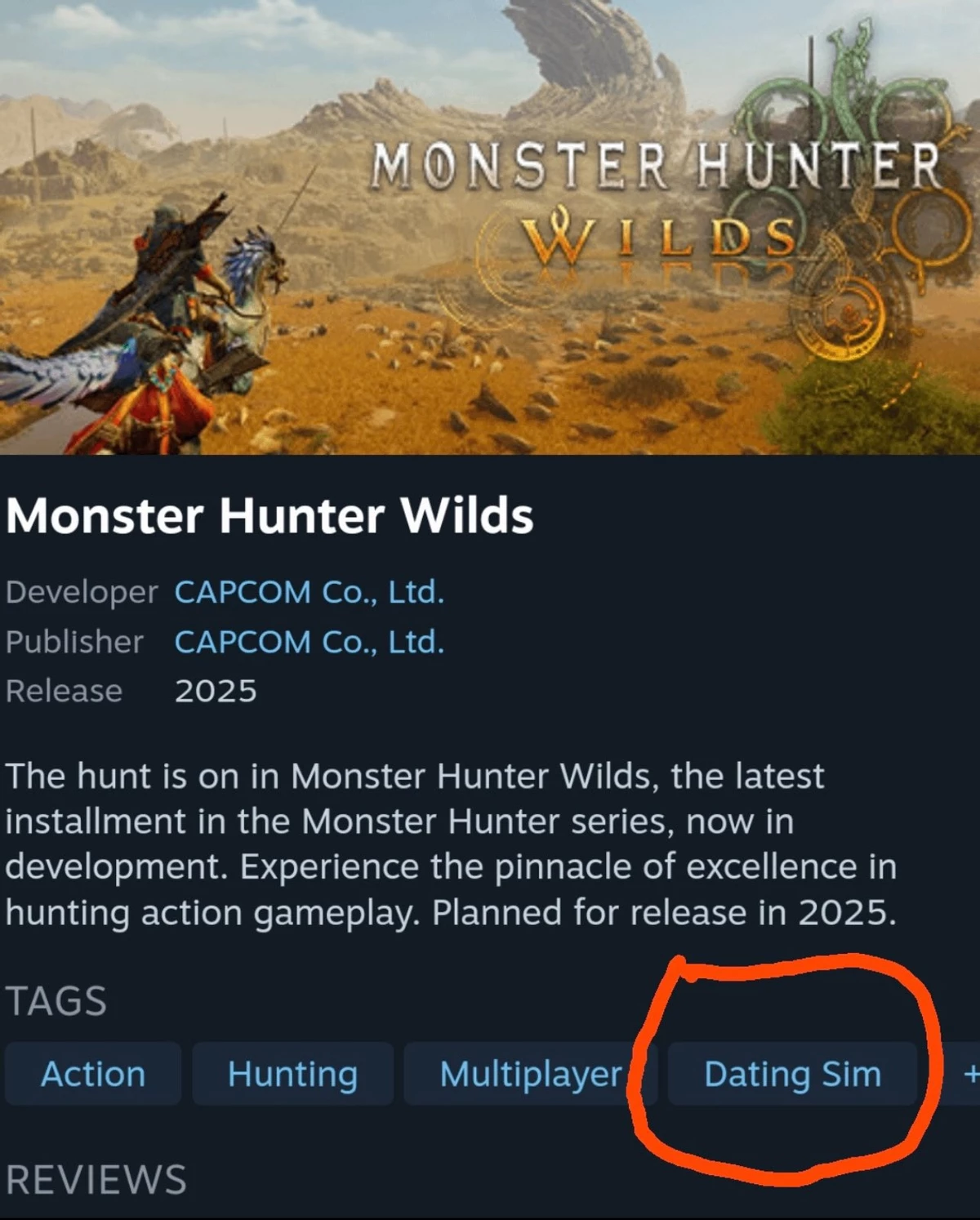 Monster Hunter Wilds отныне симулятор свиданий — так решили игроки в Steam из-за Геммы