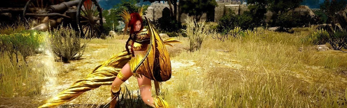 Стрим: Клановый турнир “GoHa Guild Cup” #12 по Black Desert