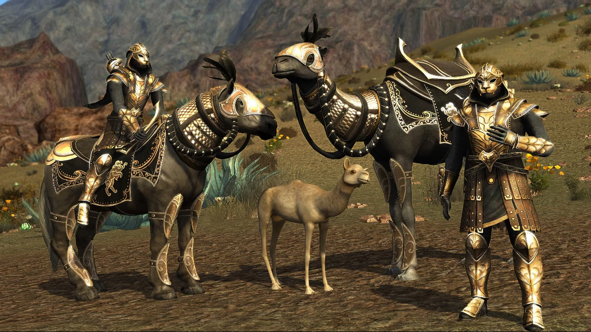 Больше деталей о дополнении Харад в MMORPG Lord of the Rings Online